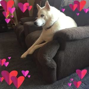 Meet your Posher, Sue